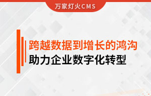 跨越數(shù)據(jù)到增長的鴻溝，助力企業(yè)數(shù)字化轉(zhuǎn)型